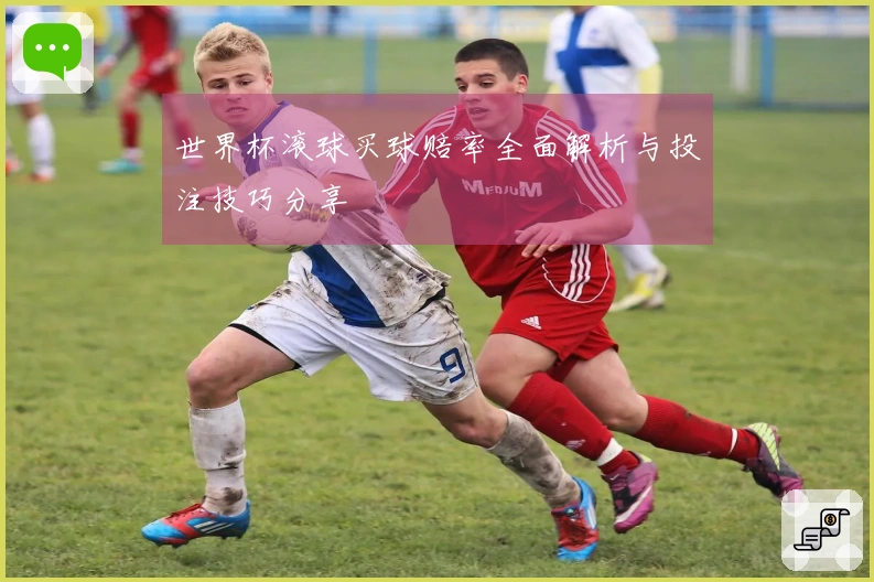 世界杯滚球买球赔率全面解析与投注技巧分享