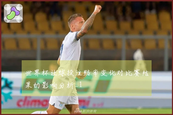 世界杯让球投注赔率变化对比赛结果的影响分析_1