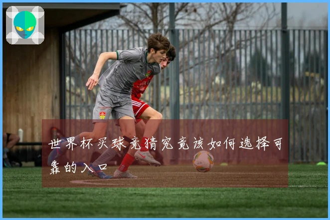 世界杯买球竞猜究竟该如何选择可靠的入口