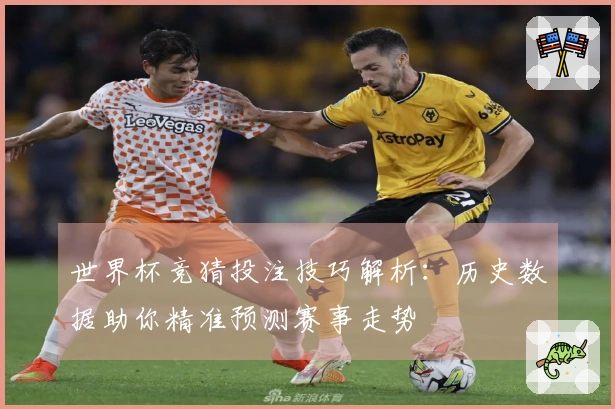 世界杯竞猜投注技巧解析：历史数据助你精准预测赛事走势