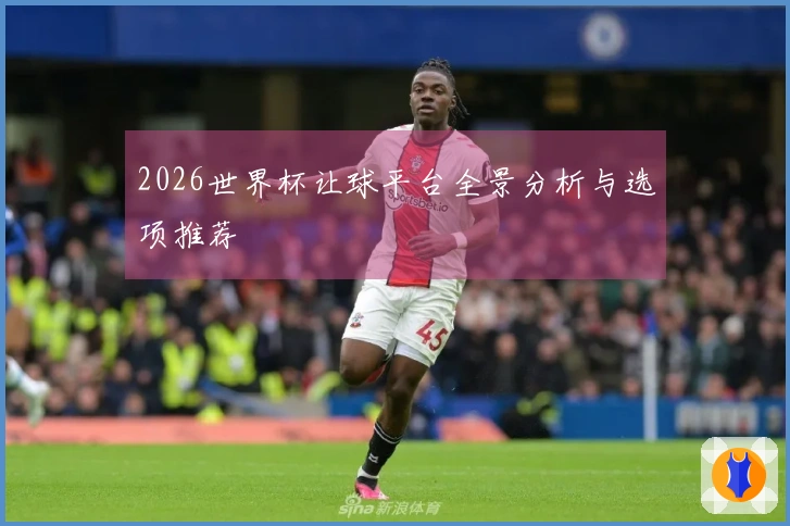 2026世界杯让球平台全景分析与选项推荐
