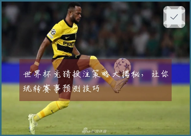 世界杯竞猜投注策略大揭秘，让你玩转赛事预测技巧