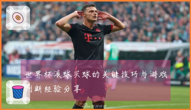 世界杯滚球买球的关键技巧与游戏判断经验分享