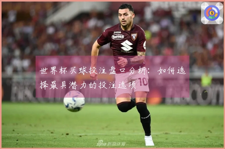 世界杯买球投注盘口分析：如何选择最具潜力的投注选项