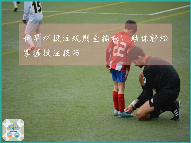 世界杯投注规则全揭秘，助你轻松掌握投注技巧