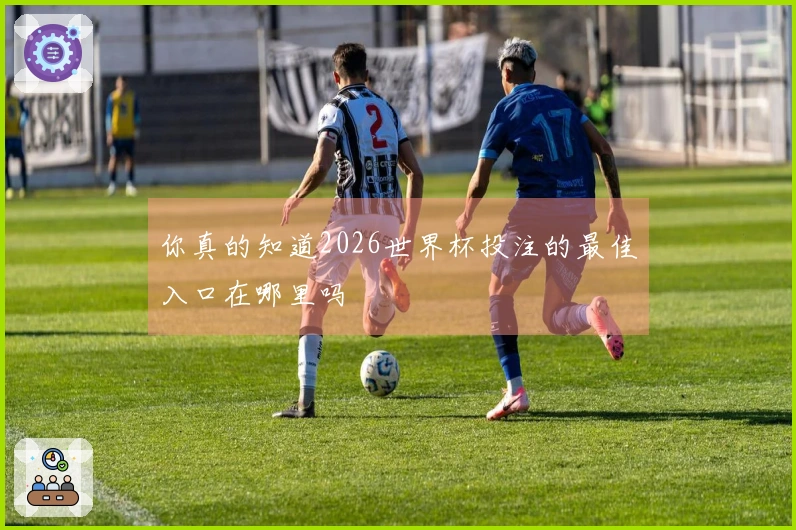 你真的知道2026世界杯投注的最佳入口在哪里吗