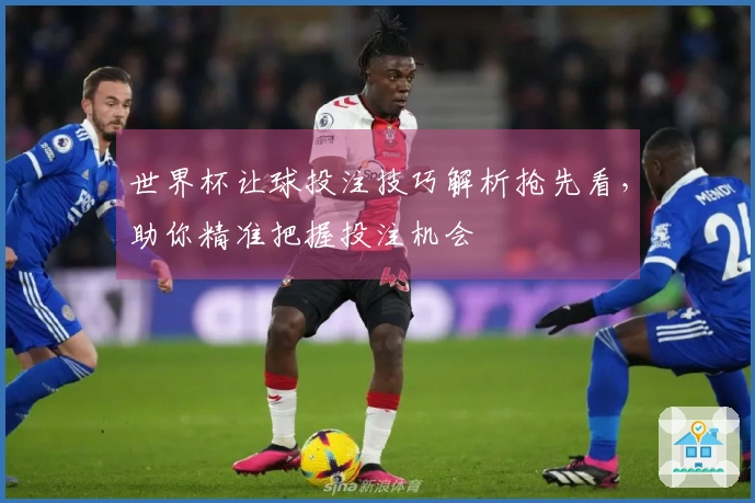 世界杯让球投注技巧解析抢先看，助你精准把握投注机会