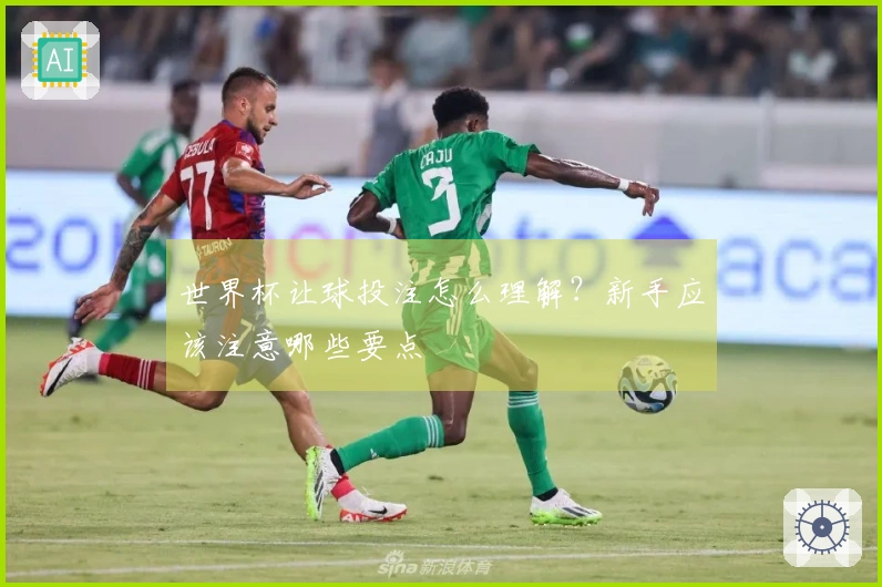 世界杯让球投注怎么理解？新手应该注意哪些要点