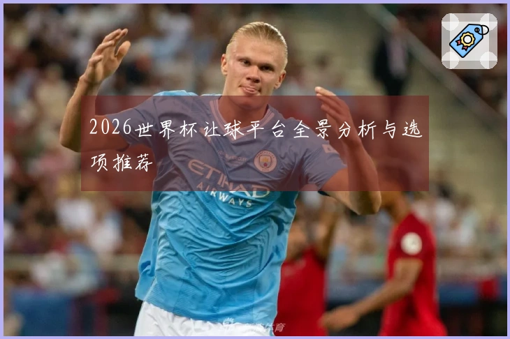 2026世界杯让球平台全景分析与选项推荐